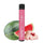 Elf Bar V1 - 600 Puff Disposable Vape Pen