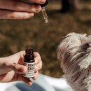 Poor Dog Charlie 2% CBD Drops for Dogs (10ml) - Lab Tested Pet Wellness