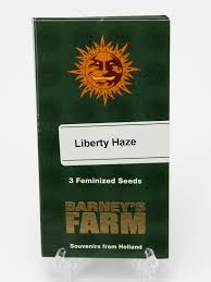 Liberty Haze - Pack of 3 Feminized Cannabis Seeds by Barney's Farm