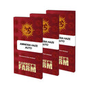 Amnesia Haze - Pack of 3 Auto-flowering Cannabis Seeds by Barney's Farm