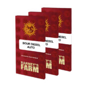 Sour Diesel - Pack of 3 Auto-flowering Cannabis Seeds by Barney's Farm