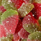 CBD Gummy Strawberries (Small Tub) By Orange County CBD